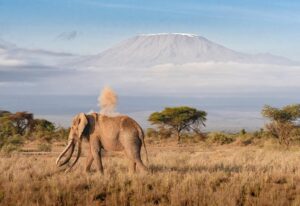 Kilimanjaro Marangu Route 5 Days
