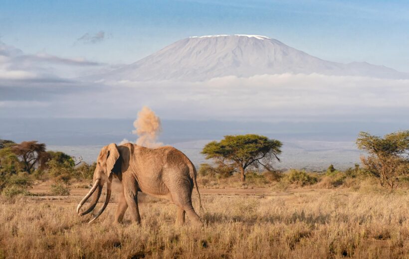 Kilimanjaro Marangu Route 5 Days